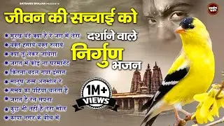 जीवन की सच्चाई को दर्शाने वाले निर्गुण भजन ~ Nonstop Nirgun Bhajan | सत्संगी भजन  | Nirgun Bhakti