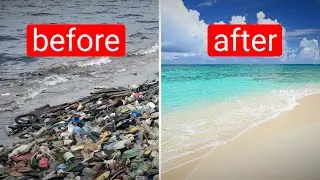 INSANE Technology Against Plastic Pollution
