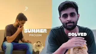 Beat the Heat: Summer Essentials for Your Cat in Pakistan