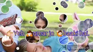 whatsapp status video, whatsapp video, whatsapp st