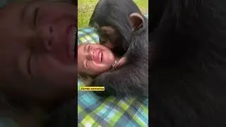 what is this 😳 #tickle #shorts #like #ytshorts #love #usa #viral #india #memes #facts #gaming #new