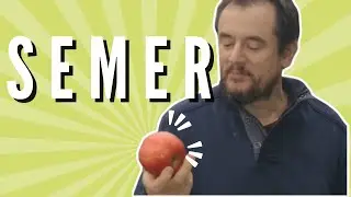 Ma technique, INRATABLE, pour semer des pommiers.