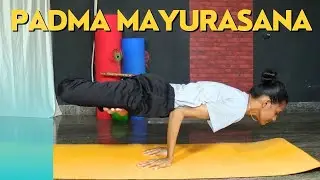 Learn  Padma Mayurasana / Lotus in Peacock Pose | Hamsa Yoga Foundation | Gayana | Arm Balance Pose