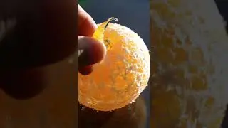 &ldquo;Love this? 💧 Double tap&rdquo;&ldquo;Feeling calm? 🌸 Subscribe