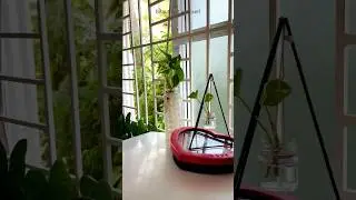 Diy cute planter using old cloth#diyplanter#recycleideas#bottlecraft#plantdecoridea#ytshorts