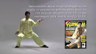 Master Chen Youze's Taijiquan