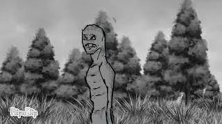 animaci&oacute;n random