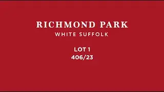 White Suffolk LOT 1 - 406/23