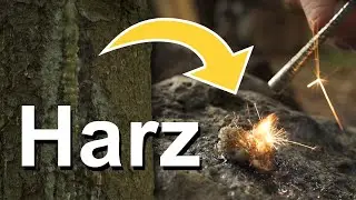 Mit dieser Ressource überlebst du in der Wildnis! (Harz)