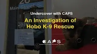 A CAPS Investigation of Hobo K-9 Rescue - Commercial Dog Broker Posing as a Nonprofit Rescue