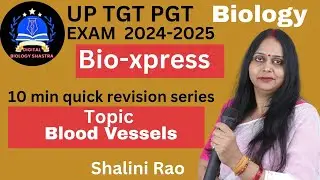 Blood Vessels I 10 Min Quick Revision I One Shot Lecture I TGT PGT GIC LT Bio I Circulatory System