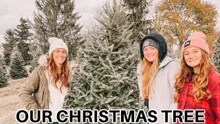 LETTING BRAELYN CUT DOWN THE TREE THIS YEAR | CHRISTMAS TREE 2021