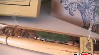 santomiele_1.flv