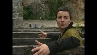 Moj Beograd - Jelena Bogavac