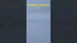 2023 Курск-Орёл