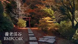 BMPCC4K / Yoro Valley in Otaki Town, Chiba Prefecture / Landscapes of Japan