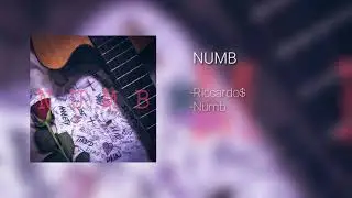 BROWN KID - NUMB!17