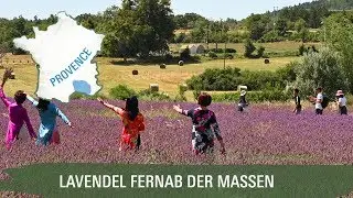 Provence: Lavendel fernab der Massen☀️ Lavendelfelder aus dem France Naturelle Reiseführer
