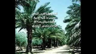 أفضل وقت لغرس النخيل حسب ما كتبه شيخ المزارعين بالمدينة المنورة الشيخ حليت بن مسلم رحمه الله