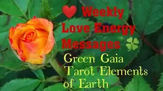 Weekly Love Energy Messages ❤️ // Weekly Love Prediction Readings // Have A Great Week Everyone //