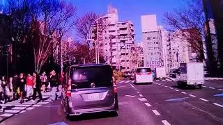 【信号無視】また？？？信号の見方分からない脳ミソ多すぎ🤮【道路交通法違反】