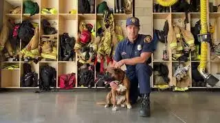 Santa Barbara County Firefighter Sam Dudley and Emotional Support K-9 Rhonda