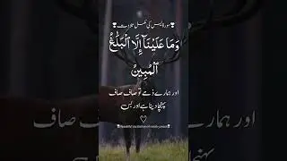 سورۃ یس کی تلاوت ❣️#quran #quranicquotes #islamicreminders #islamicreelsvideo #islamicquotes #quran