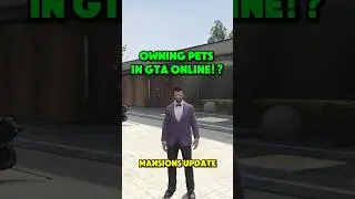 Завести питомцев в новом DLC-обновлении GTA 