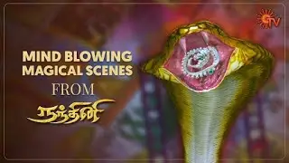 Nandhini Super Scenes 5 | Mind blowing Magical Scenes | Sun TV Serial