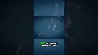 What if the Gulf Stream Collapses   Doomsday Broadcast S4