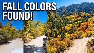 Searching Fall Colors at Sandia Man Cave, Sandia Mountains, New Mexico