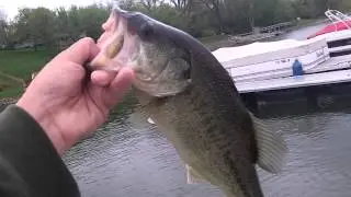 Cold front bass fishing