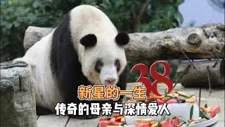 最长寿的新星传奇一生，跨越天性的母女情和被传为佳话爱情故事