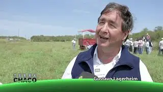 MUCHAS – UN PROGRAMA EN APOYO A LA MUJER RURAL / PASTO TANGOLA| TERRA CHACO
