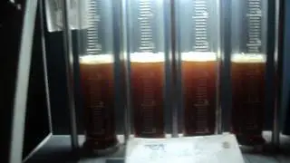 MOV02869