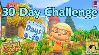 30 Day Challenge ACNH IRL  🌾  Designing a Farm in ACNH | Animal Crossing New Horizons Farming