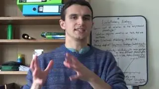 An intro to Evolutionary Ecology - Benito's Explanations