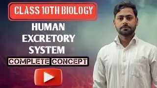 Excretory System | Biology | Class 10 | Ekalavya Batch 2.0 