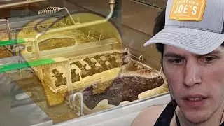 [Jerma] Delicious Dinosaur Nuggies