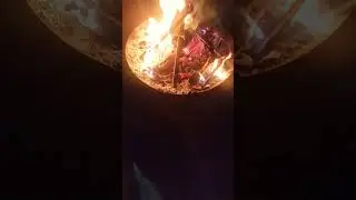 Chatting by fireside with #siblings #cat|New Years Eve #fireside #night #newyear #catsofyoutube