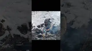 great persian nomadic food FESENJOON