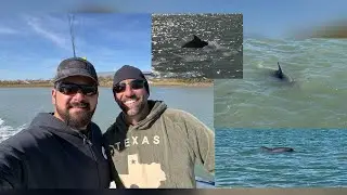 Duck Hunt Turned Dolphin Watch | Boat Ride on the ICW &ndash; South Padre & Port Isabel TX