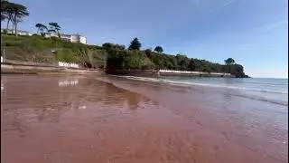 Beach wheelchair + Giant Schnauzer taking a stroll on Goodrington Beach with Pink Seahorse Holidays