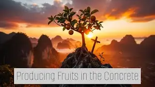 Producing Fruits in the Concrete || Bible Study Over 1 Samuel Chapter 15
