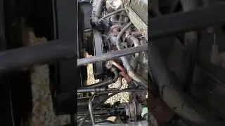 1999 Jeep Wrangler Tj 2.5 liter  steering pump going out