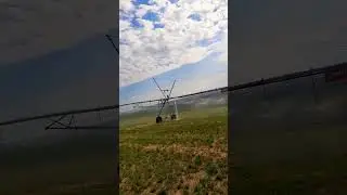 #farming #irrigation #zimmatic #wateringplants #pivot #shorts