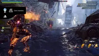 Anthem Platinum
