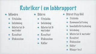 Hur man skriver en labbrapport