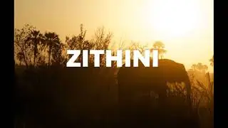 Zithini - Lady Du x Zuma x Busta 929 x Mr Jazziq type beat I Amapiano type beat 2021 I (prod. FIBBS)