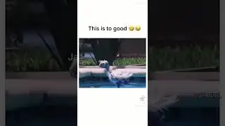 Flotation device